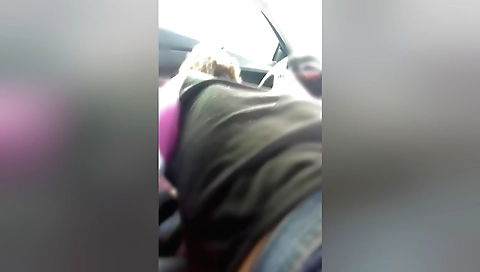 Amateur brunette sucking a dick in front of the camera