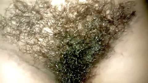 hairy indian hairy pussy 3d amateur solo porn video