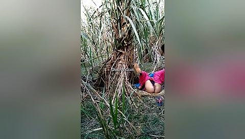 Bike riding with a brunette in an amateur outdoor video