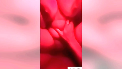 Hot indian babe in amateur video with lips on a cock
